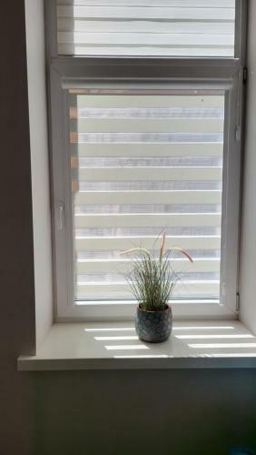 Peldu Apartamentai