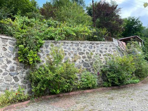 Villa Cennet Bah�esi