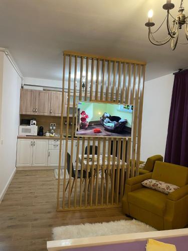 Apartament Gabriela 39