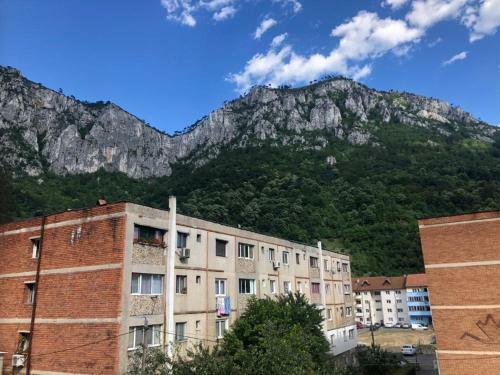 Apartament Mary