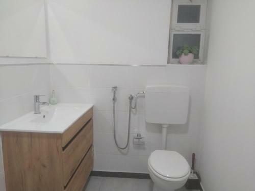 Suite De H�spedes Ador�vel Com P�tio