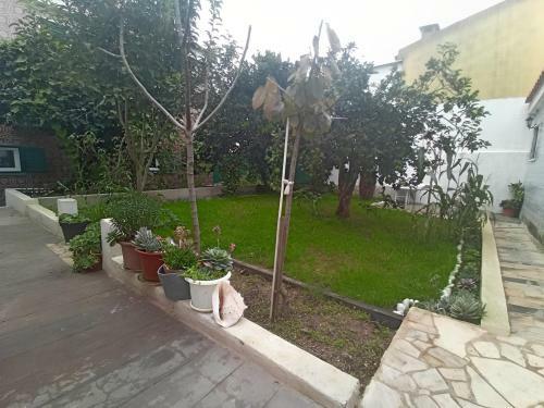 Suite De H�spedes Ador�vel Com P�tio