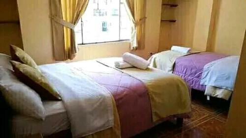 Bed & Breakfast Amazonas
