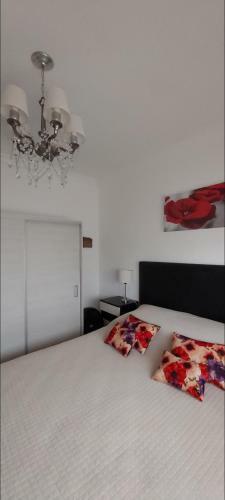 Apartamento Palacio Avenida
