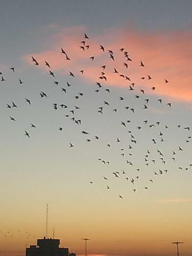 Apartamento Hermosos Atardeceres ?