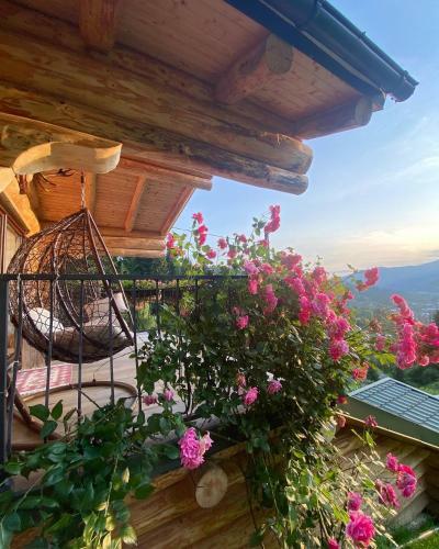 Hostal Pensiunea Agroturistica Borsa