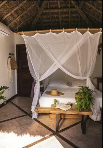 Hotel Villa Mango