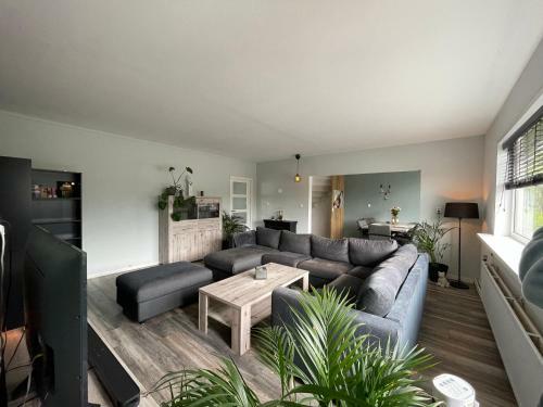Suite Room, Wellness Experience.