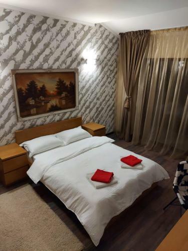 Villa Luxury Resort Brezoi