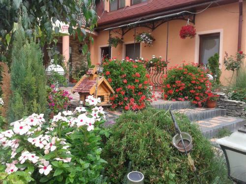 Hostal Alba Regia Pansion Egri