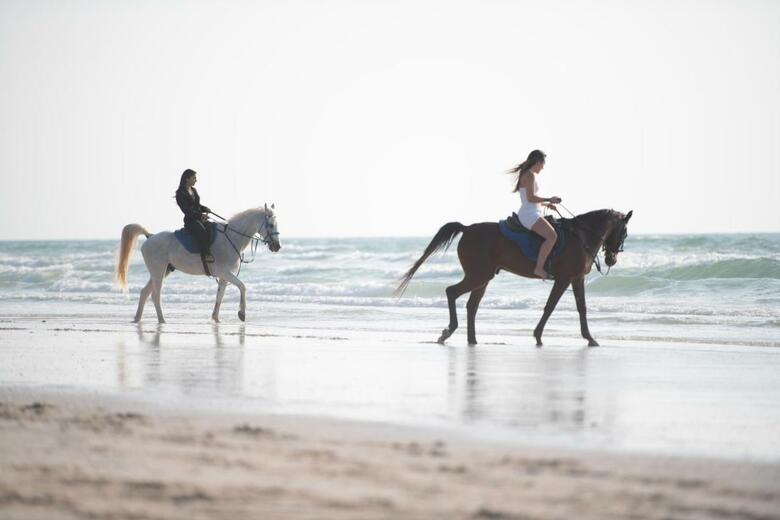 Umm Al Quwain Beach Hotel
