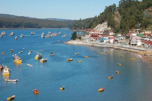 Los Claveles
