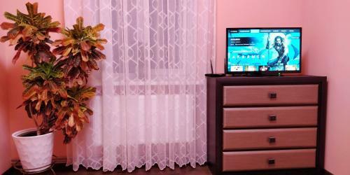 Apartment Near University