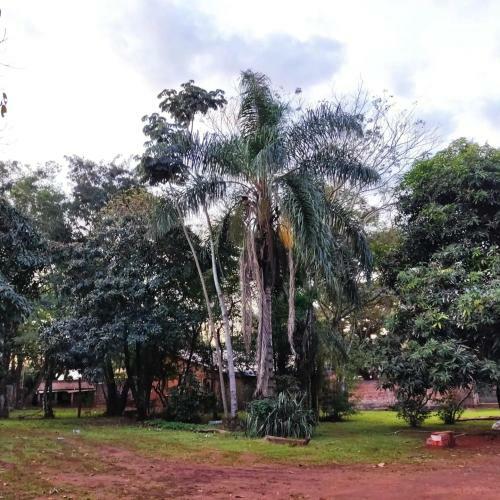 Apartamento Naturalis Flats And Suites