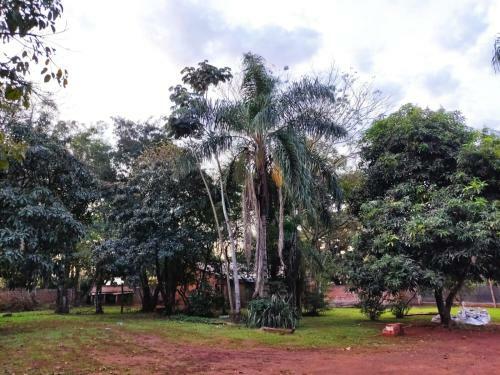 Apartamento Naturalis Flats And Suites
