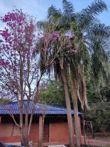 Apartamento Naturalis Flats And Suites