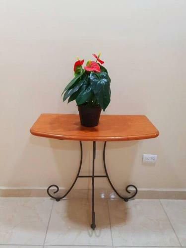 Apartamento Tan Acogedor Como En Casa