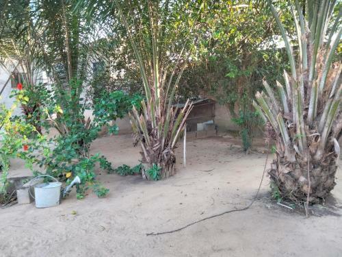 Apartamento Saint Fran�ois