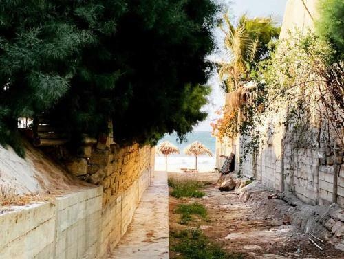 Terraza Salvatore, Casa En Las Pocitas De M�ncora