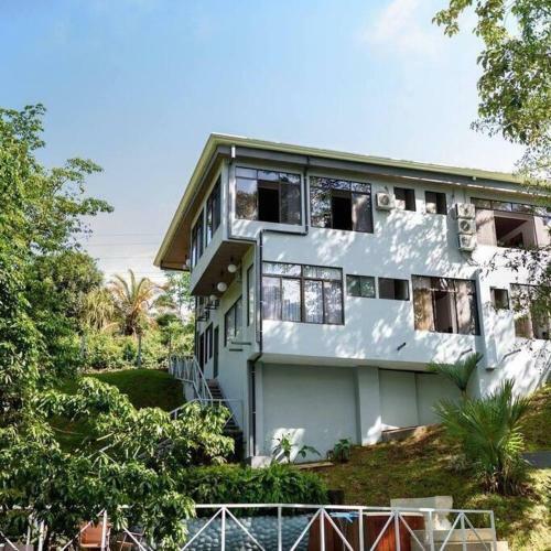 Volcano Gold Loft Rainforest House