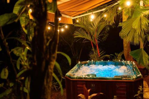 Volcano Gold Loft Rainforest House