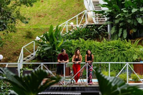 Volcano Gold Loft Rainforest House