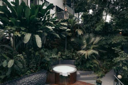 Volcano Gold Loft Rainforest House