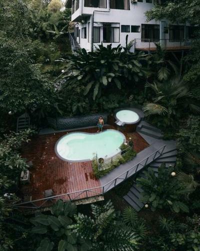 Volcano Gold Loft Rainforest House