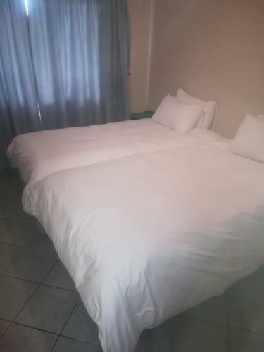 Ngandu At Sea Bed And Breakfast