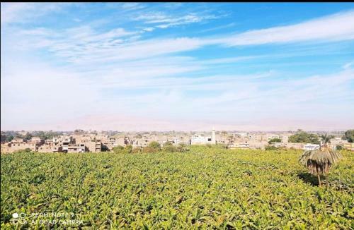 Apartamento Luxor 1 Bed 4ppl Egyptian Feel Nile View Cozy Flat