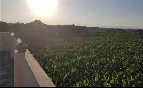 Apartamento Luxor 1 Bed 4ppl Egyptian Feel Nile View Cozy Flat