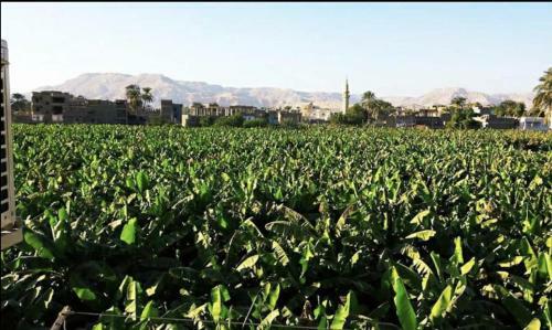 Immaculate 1-bed Apartment In Al Bairat