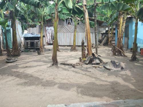 Hostal Plantain Inn