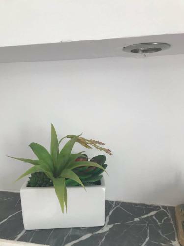 Apartamento Appartement Luxe