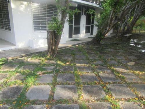 Apartamento Coronado Exelente Precio