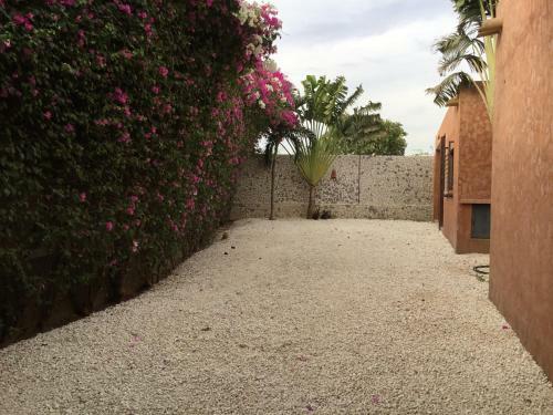 Villa Doberman Lagon