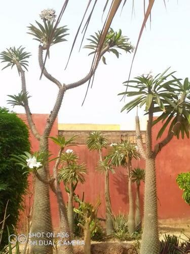 Villa Doberman Lagon