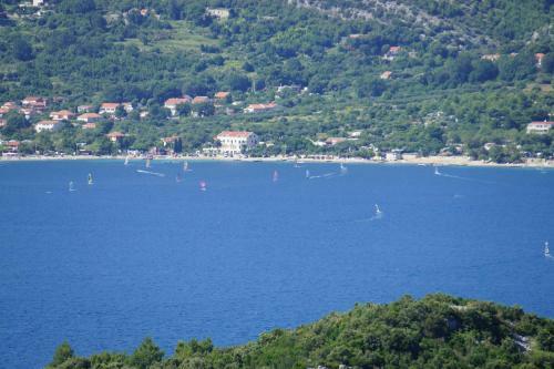 Apartments Segedin
