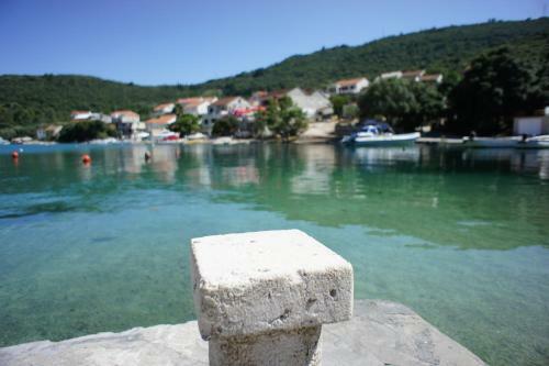 Apartments Segedin