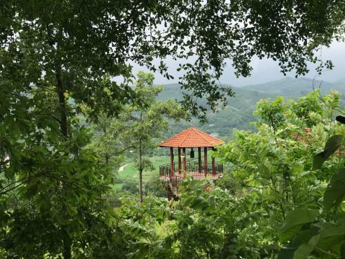 Lodge Nh� C? T? Vi?n Xanh