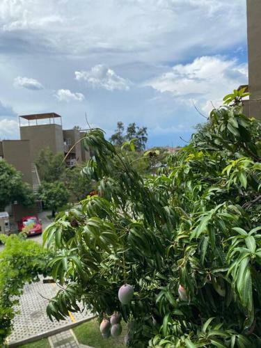 Apartamento Las Ventanas Lunamar