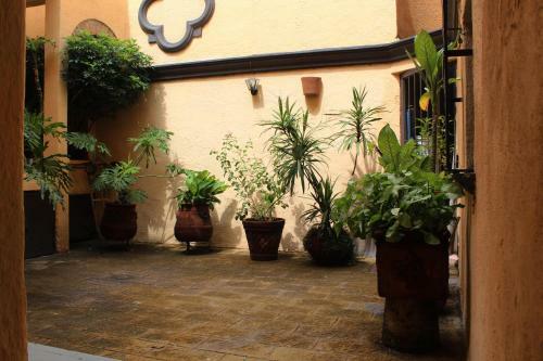 Apartamento Suite/ Terraza En La Glorieta Chapalita