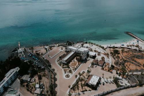 Hotel Orchid House Baja