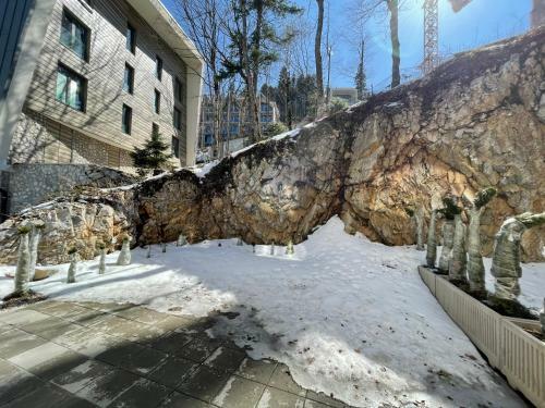 Apartman ''silver Fox'' Bjela?nica