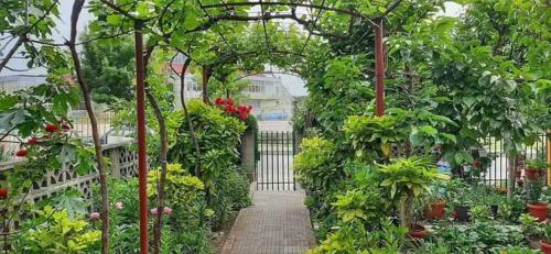 Hostal Guest House Perla
