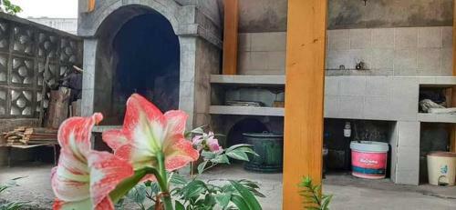 Hostal Guest House Perla
