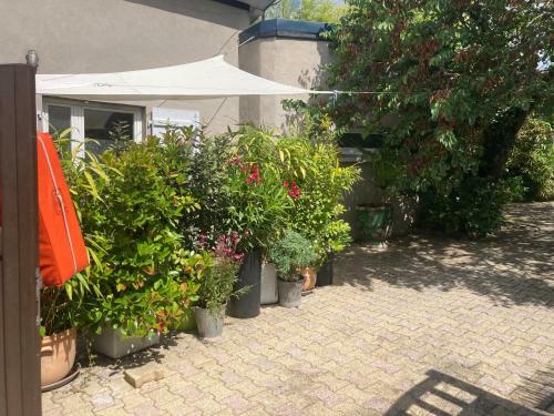 Maisonnette Studio Arcachon 300m Plage