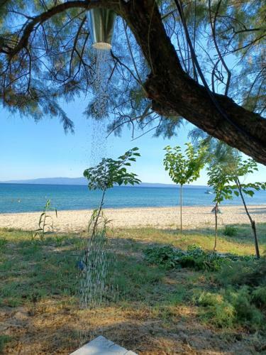 Private Sea Front Houses !?platan 3