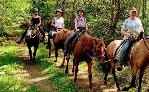Apartamento Little Forest Ranch, Natur Pur Mit Reitm�glichkeit