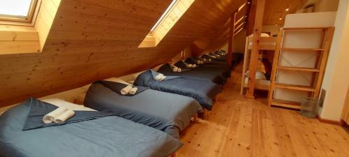 Hostel Borik